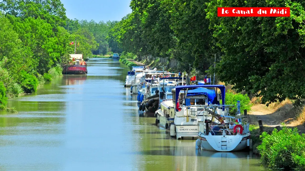 Bateaux amarrés sur le Canal du Midi, bordé d'arbres verdoyants. Un voyage paisible sur les eaux calmes.