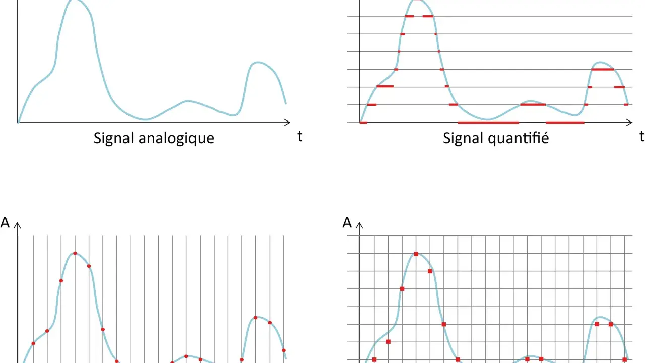 Illustration de la conversion d'un signal analogique en signal numérique : échantillonnage, quantification et numérisation.