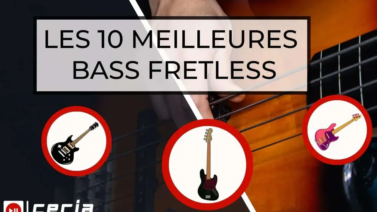 Les 10 meilleures basses fretless, avec des illustrations de guitares basses.