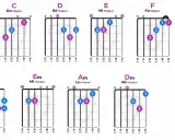 Diagrammes pour apprendre les accords de guitare : A, C, D, E, F, G, Dsus4, Em, Am, Dm.