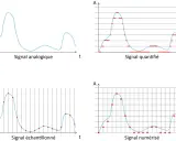 Illustration de la conversion d'un signal analogique en signal numérique : échantillonnage, quantification et numérisation.