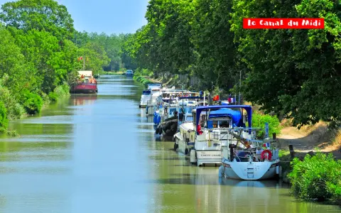 Bateaux amarrés sur le Canal du Midi, bordé d'arbres verdoyants. Un voyage paisible sur les eaux calmes.