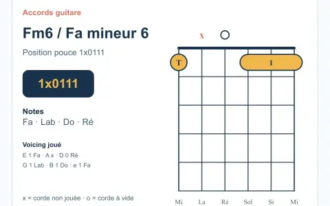 Diagramme d'accord de guitare pour Fa mineur 6 (Fm6). Indique la position des doigts et les notes à jouer.