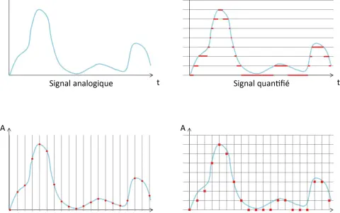 Illustration de la conversion d'un signal analogique en signal numérique : échantillonnage, quantification et numérisation.