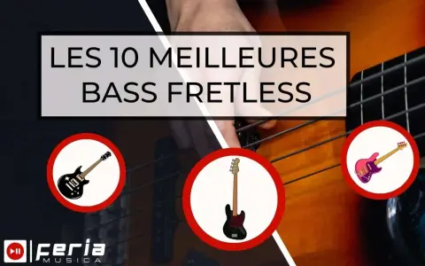 Les 10 meilleures basses fretless, avec des illustrations de guitares basses.