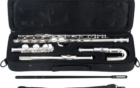 Étui ouvert révélant un gros instrument à vent argenté, une flûte traversière, démontée en plusieurs parties, prête pour la musique.