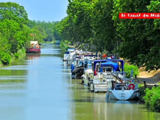 Bateaux amarrés sur le Canal du Midi, bordé d'arbres verdoyants. Un voyage paisible sur les eaux calmes.