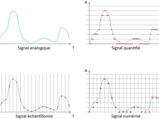 Illustration de la conversion d'un signal analogique en signal numérique : échantillonnage, quantification et numérisation.