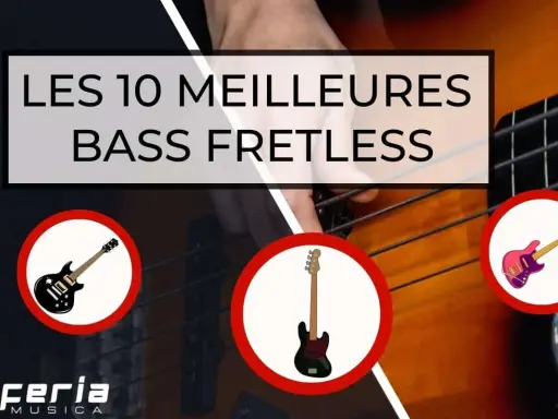 Les 10 meilleures basses fretless, avec des illustrations de guitares basses.