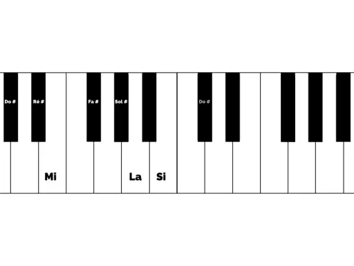 Clavier de piano avec les notes Do #, Ré #, Fa #, Sol # et Do # indiquées. Les notes Mi, La et Si sont également visibles.