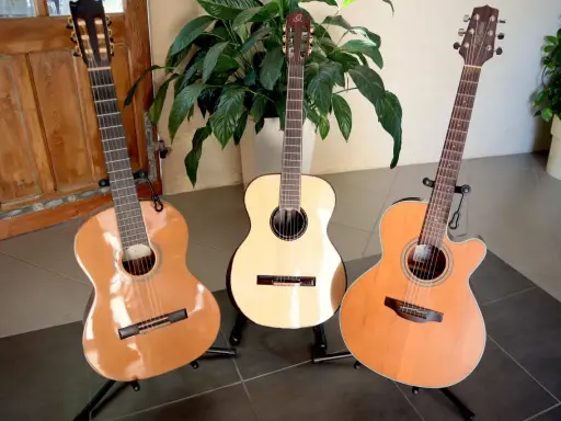Trois guitares folk nylon, une classique, une électro-acoustique et une autre, se tiennent fièrement sur leurs supports, prêtes à faire vibrer leurs cordes.