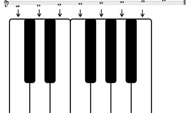 Clavier de piano montrant la gamme de do majeur. Les notes Do, Ré, Mi, Fa, Sol, La, Si, Do sont indiquées au-dessus des touches correspondantes.