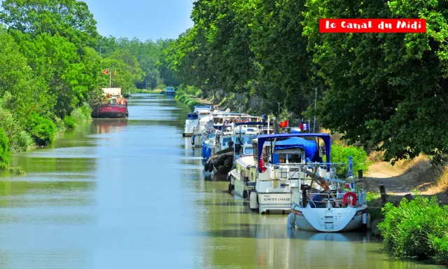 Bateaux amarrés sur le Canal du Midi, bordé d'arbres verdoyants. Un voyage paisible sur les eaux calmes.