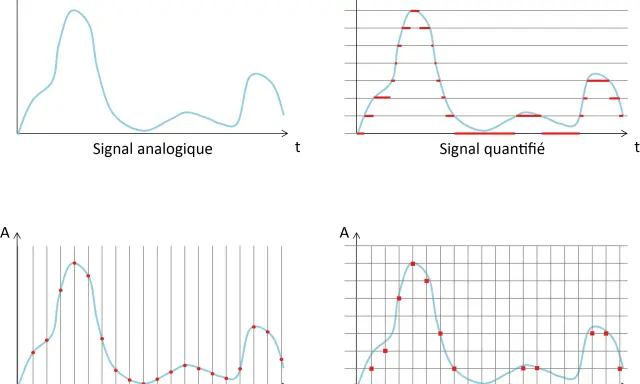 Illustration de la conversion d'un signal analogique en signal numérique : échantillonnage, quantification et numérisation.