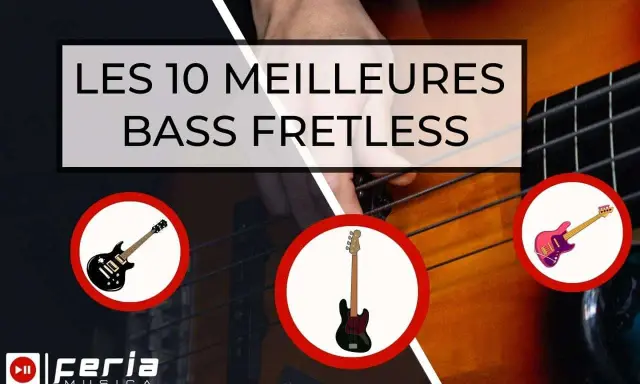Les 10 meilleures basses fretless, avec des illustrations de guitares basses.
