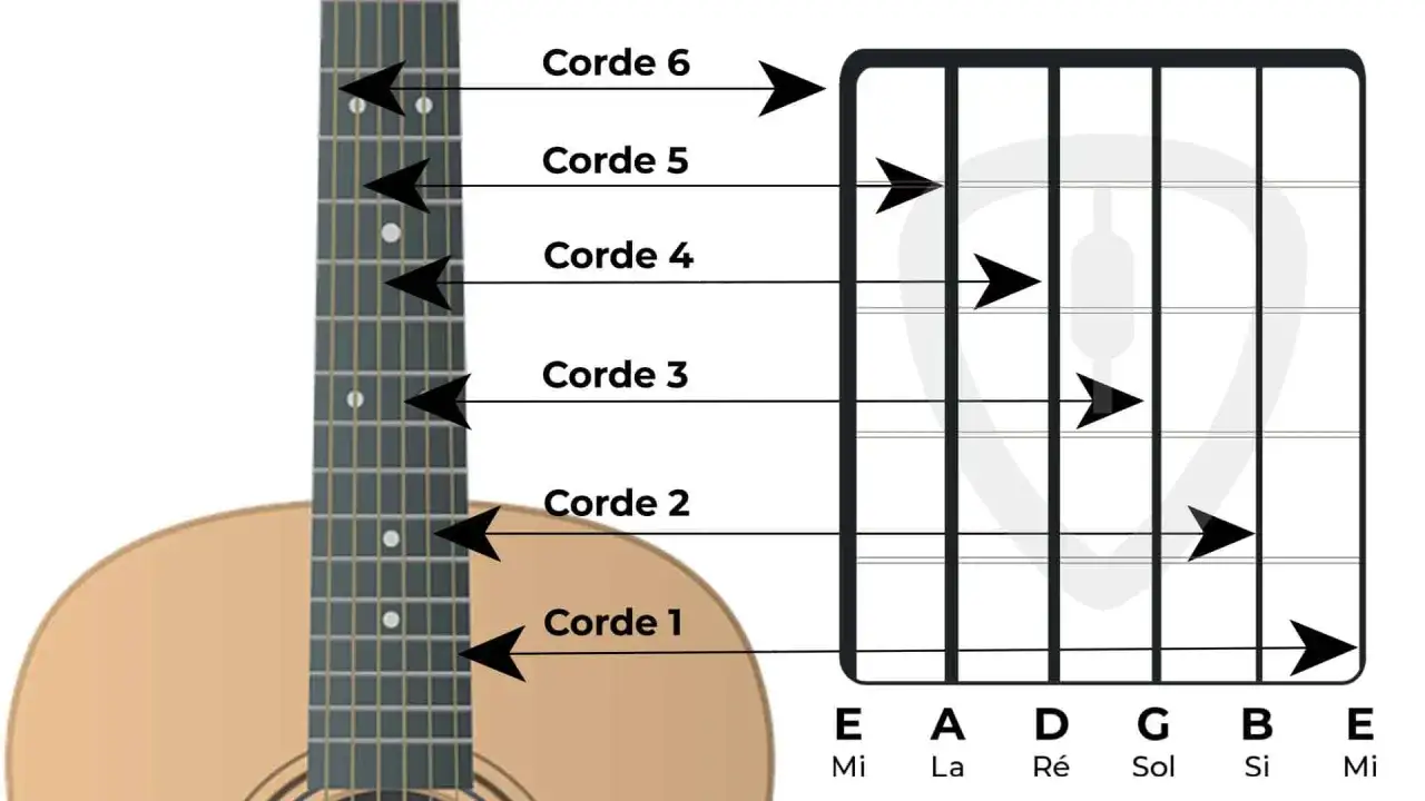 Schéma des cordes de guitare et des notes. Les lettres E, A, D, G, B, E indiquent les notes des cordes pour jouer des accords.