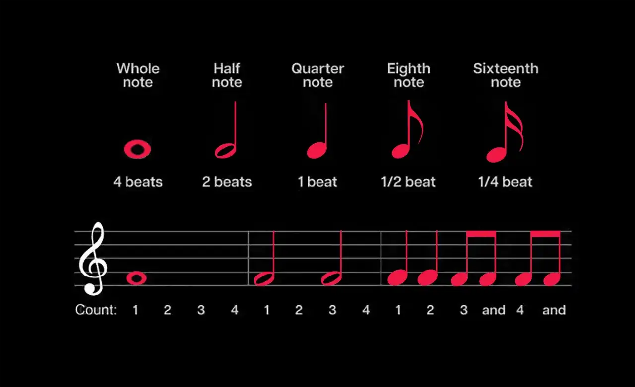Apprenez comment faire des notes de musique : ronde, blanche, noire, croche, double croche, avec leurs durées et exemples sur portée.