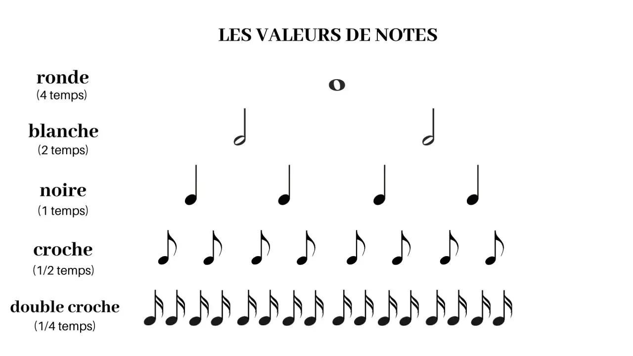 Tableau des valeurs de notes musicales. Une note de musique blanche, d'une durée de 2 temps, est représentée.