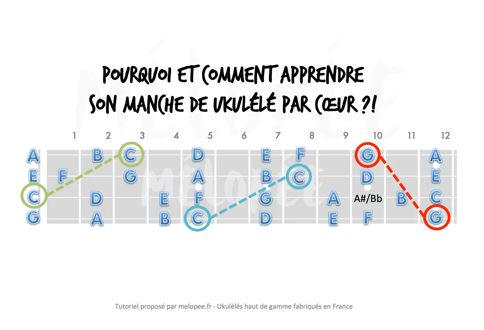 Diagramme pour apprendre à accorder son ukulélé. Il montre les notes sur le manche, avec des chemins pour mémoriser les gammes.